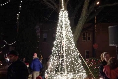 Tree Lighting